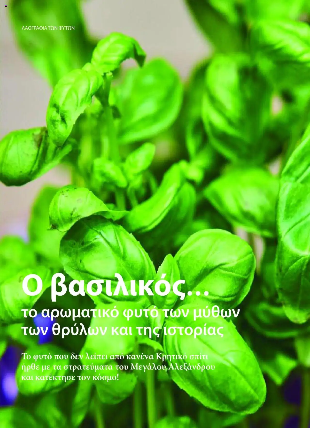  | Σελίδα: 12