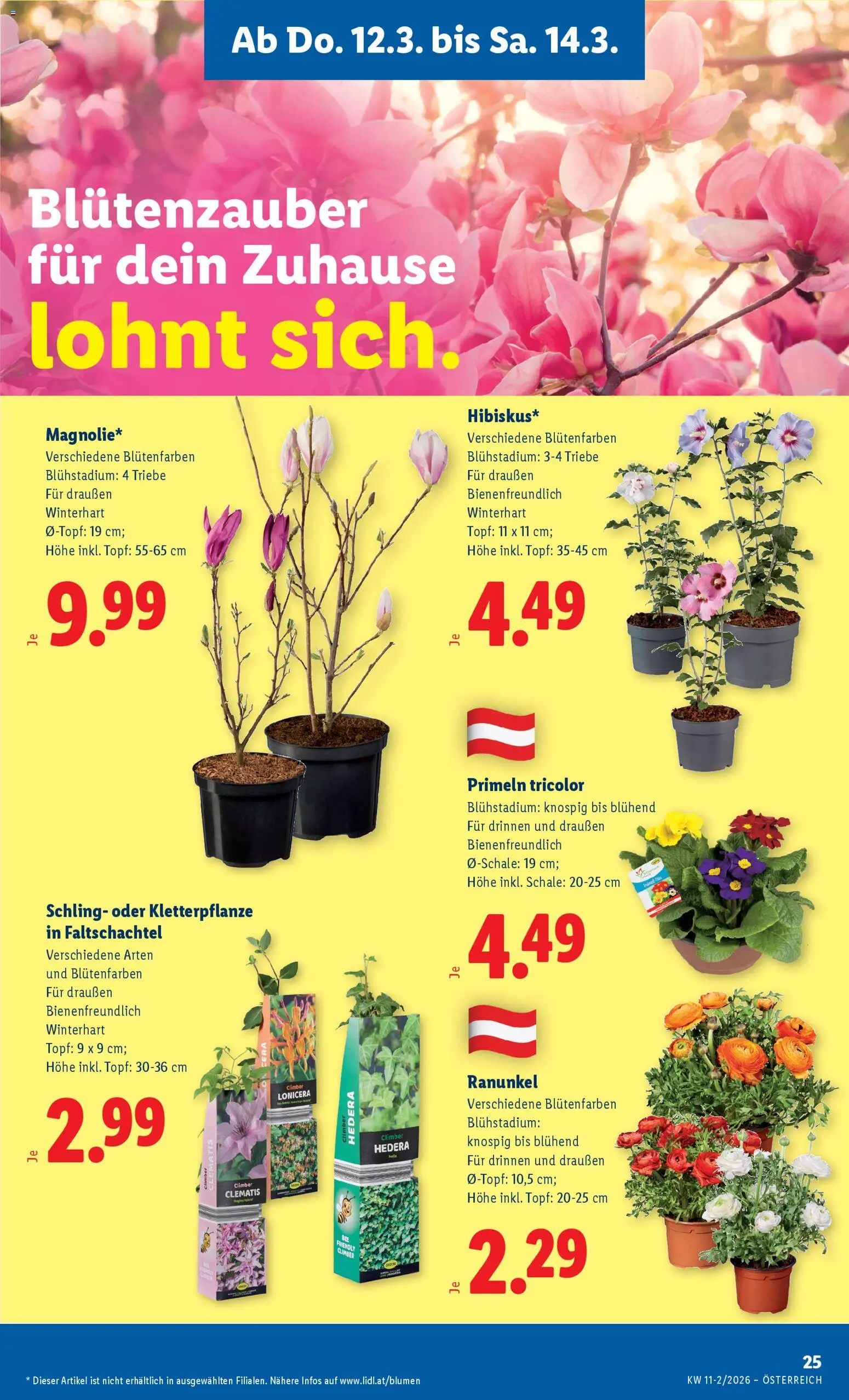 Lidl - Flugblatt gültig ab 12.03.2026 | Seite: 29