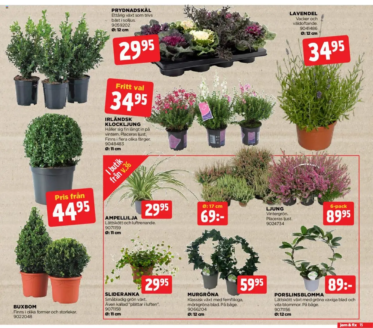 Jem & Fix reklamblad aktuell från 25.08.2025 | Sida: 15 | Produkter: Lavendel