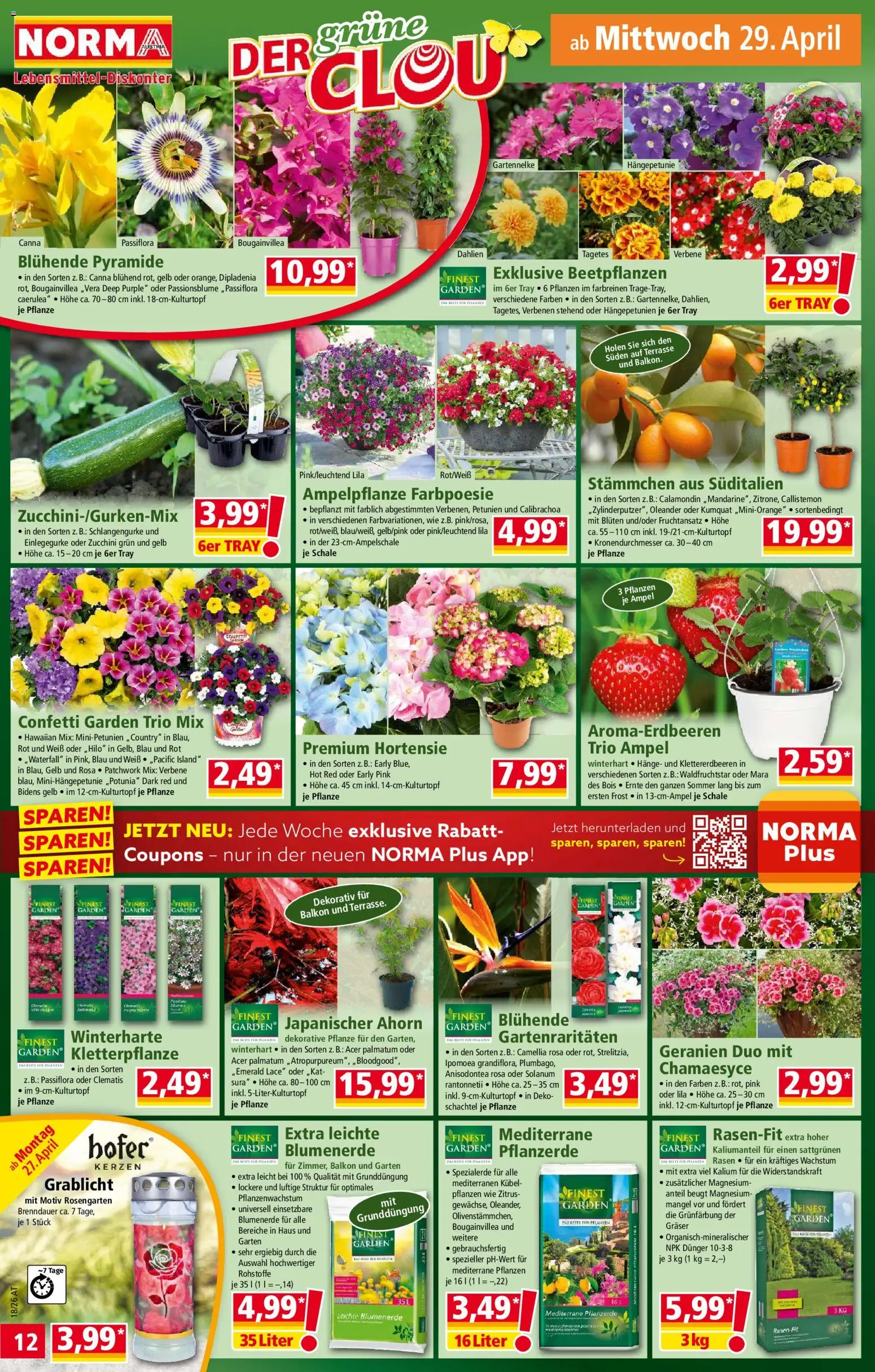 Norma Flugblatt gültig ab 27.04.2026 | Seite: 12
