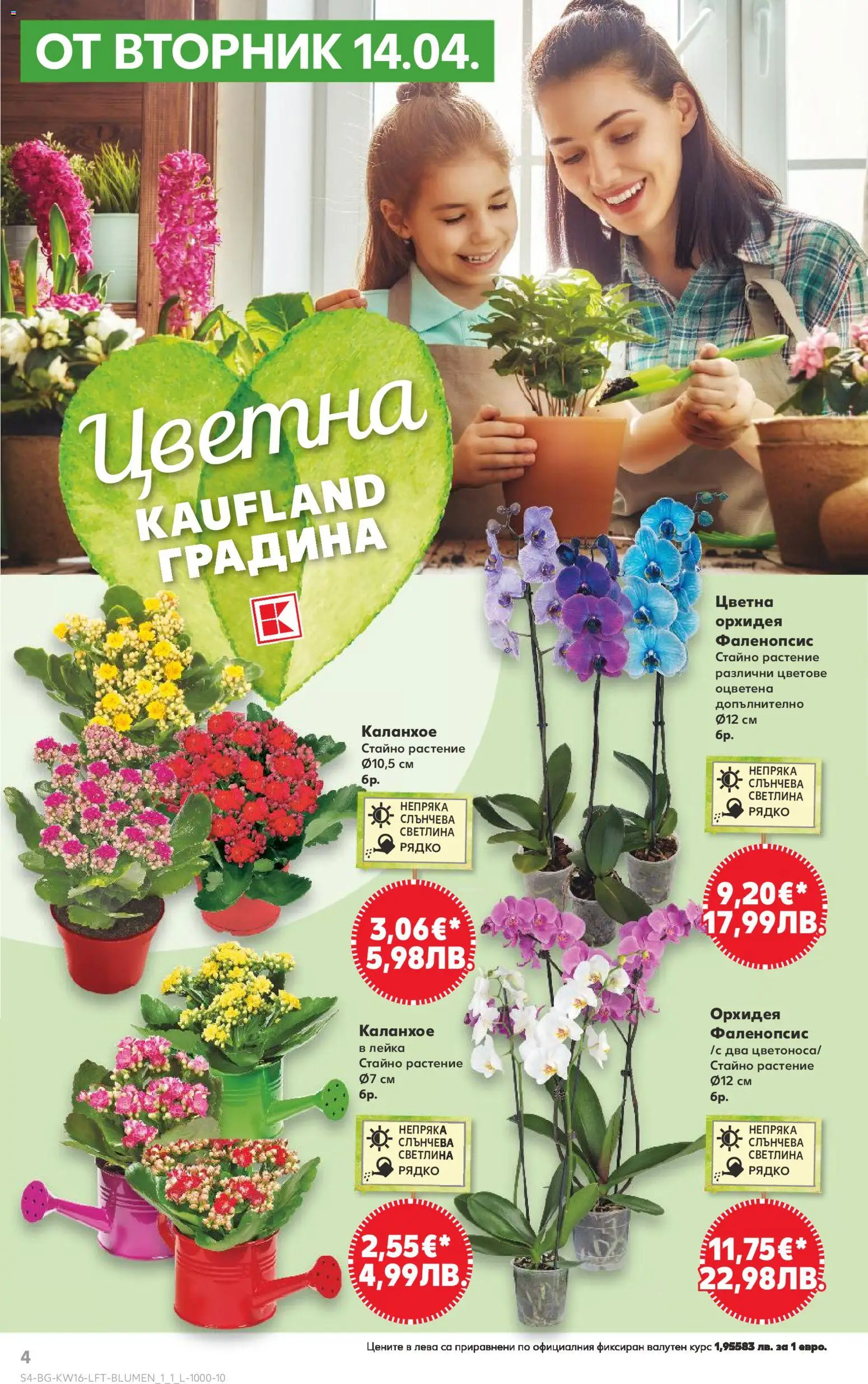 {H1} | Страница: 4 | Продукти: Орхидея, Лейка