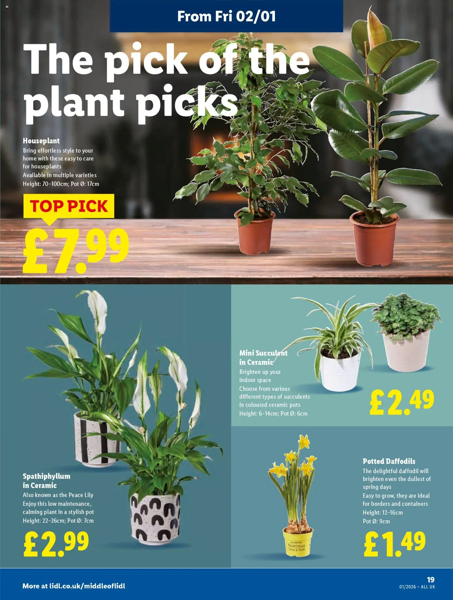 {H1} | Page: 21 | Products: Pot