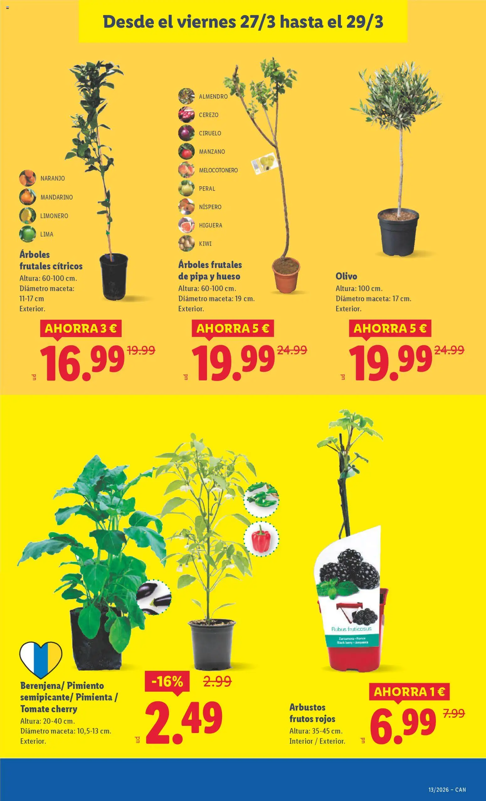 Lidl folleto │ válido desde el 23.03.2026 | Página: 31 | Productos: Lima, Κάδος απορρυμάτων, Kiwi, Maceta