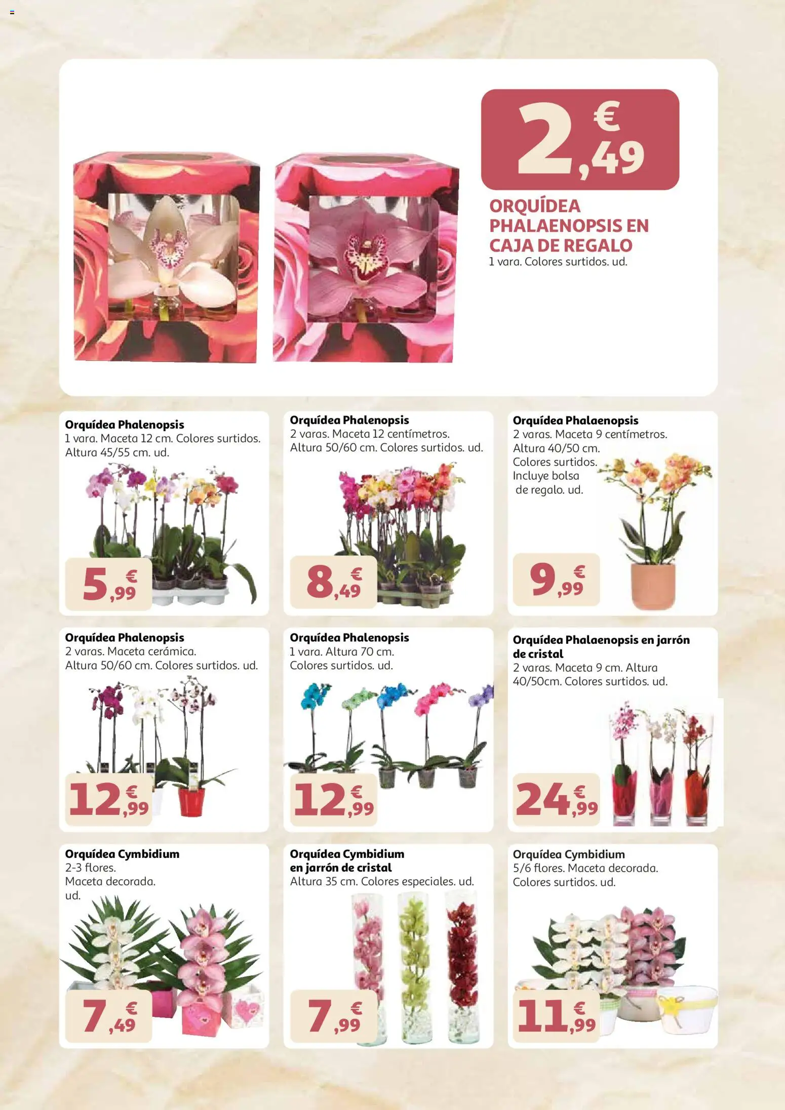 Alcampo - Dia de la madre 2026 │ válido desde el 21.04.2026 | Página: 2 | Productos: Bolsa, Caja, Maceta, Jarrón