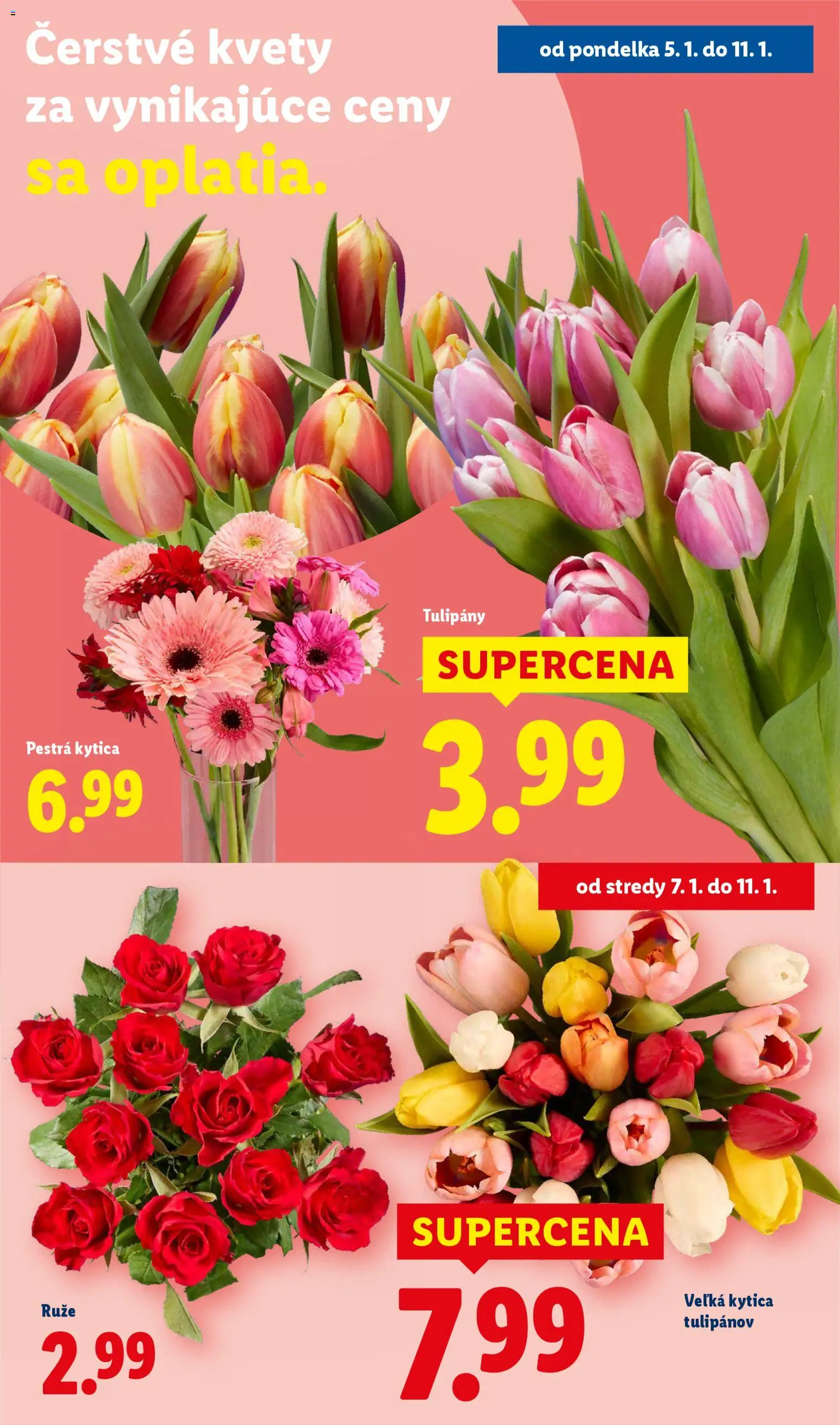 Nové Lidl akcie – leták je platný od 05.01.2026 | Strana: 52 | Produkty: Kvety, Tulipány, Ruže