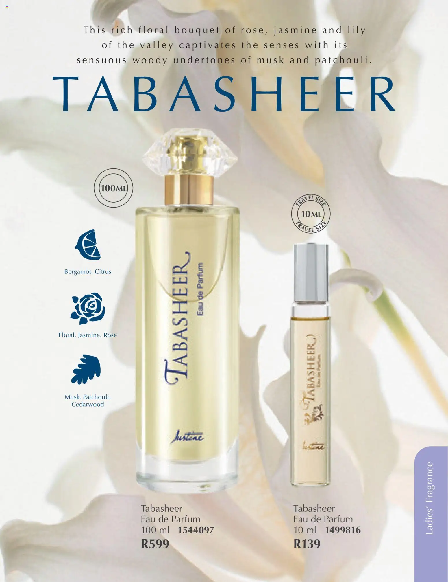 New Justine catalogue – valid from 01.03.2026 | Page: 40 | Products: Fragrance