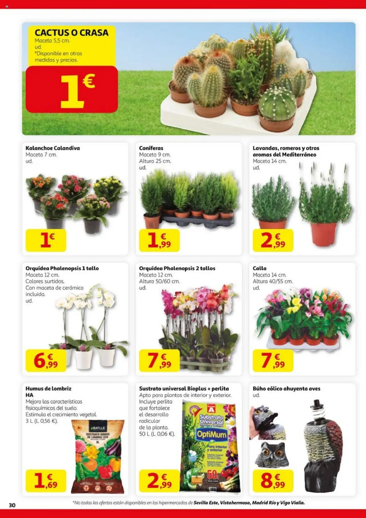 Alcampo - HG Madrid Unificado │ válido desde el 11.09.2025 | Página: 30 | Productos: Maceta