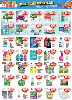 13.03.2026 tarihinden itibaren geçerli olan Grosper kataloğu önizlemesi | Sayfa: 15 | Ürünler: Kaşe, Sabun, Pudra, Limon