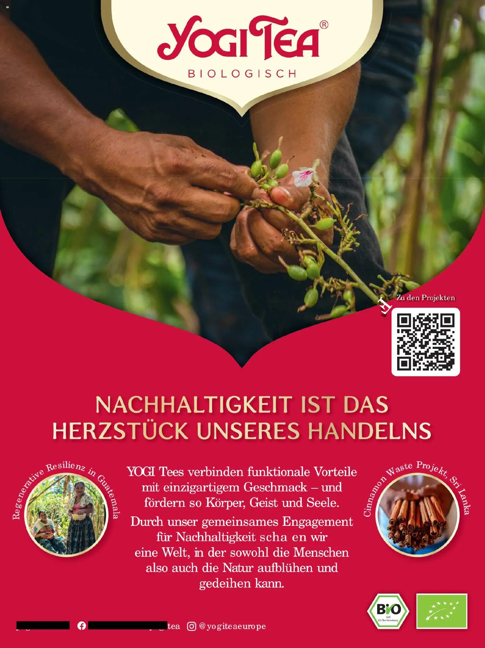 Budni Perle Magazin 06/25 – gültig ab 01.11.2025 | Seite: 17