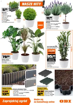 Pogląd oferty "OBI gazetka" - ważna od 25.03.2026 | Strona: 3 | Produkty: Rosliny