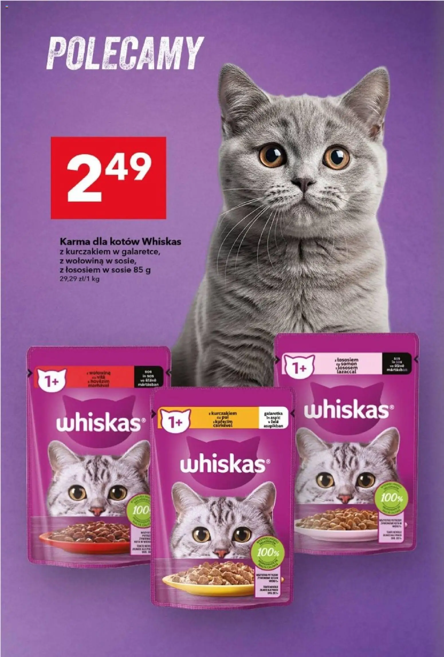 Lewiatan gazetka od 15.01.2026 | Strona: 14 | Produkty: Galaretka, Karma dla kotów, Wołowina, Sos