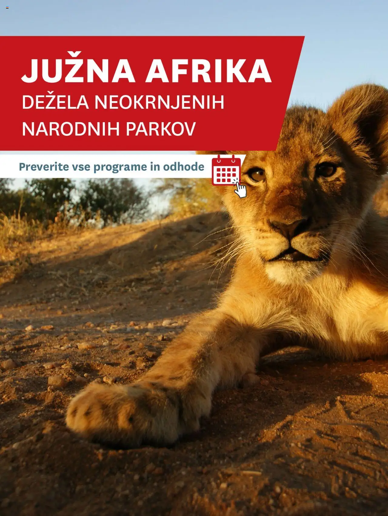 Novi Palma katalog ponudbe – veljaven od 01.01.2025 | Stran: 26