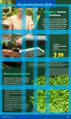 LIDL leidinys galioja nuo 16.02.2026 | Puslapis: 11