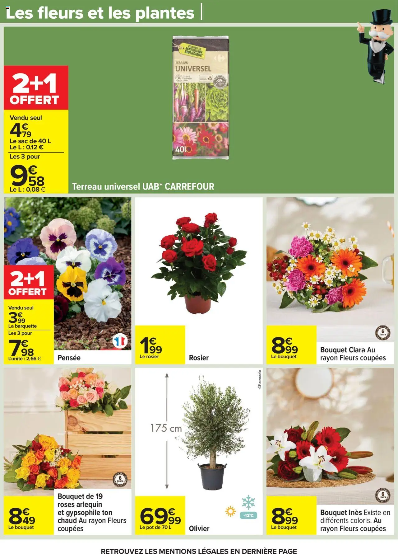 | Page: 62 | Produits: Terreau Universel, Plantes, Terreau, Olivier