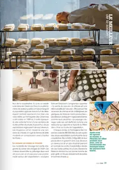  | Page: 39 | Produits: Débroussailleuse, Lait, Pain