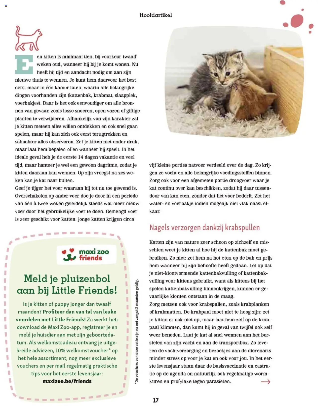  | Pagina: 17 | Producten: Vazen, Paal, Kan