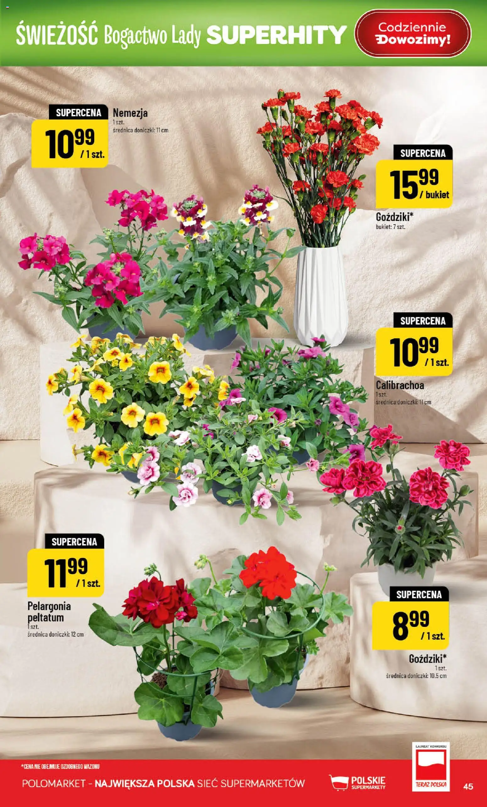 POLOmarket gazetka od 15.04.2026 | Strona: 45 | Produkty: Doniczki