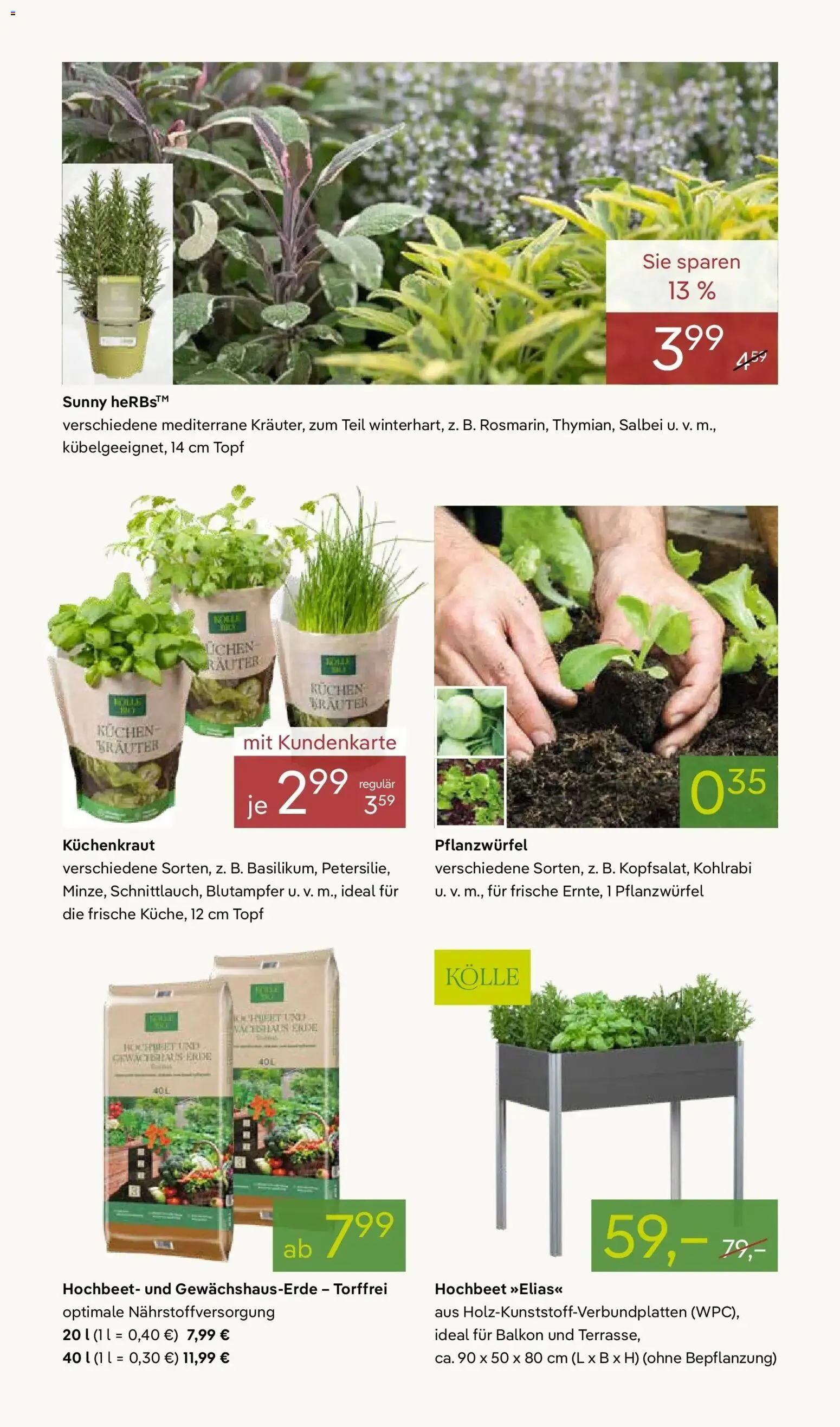 Pflanzen-Kölle - Pflanzen-Kölle: Weltfrauentag – gültig ab 02.03.2026 | Seite: 8 | Produkte: Hochbeet, Kohlrabi, Kuchen