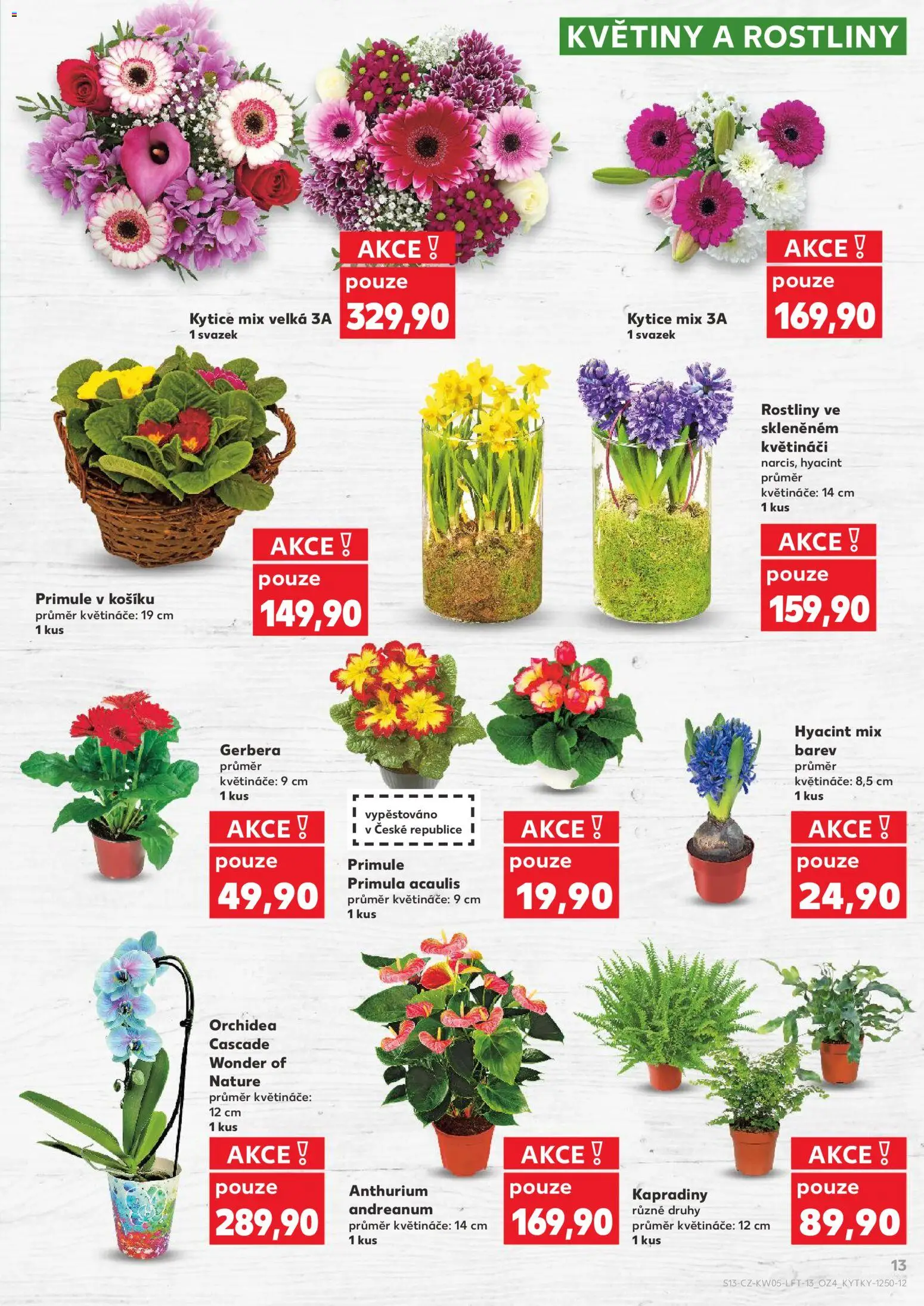 Kaufland leták - Liberec od 28.01.2026 | Strana: 13 | Produkty: Květináče, Rostliny, Kytice, Květiny
