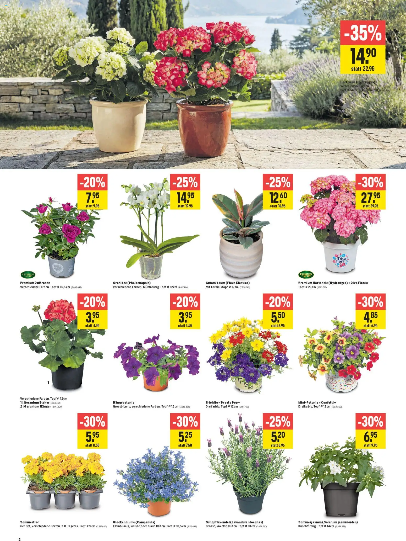 Jumbo aktionen – gültig ab 23.04.2026 | Seite: 2