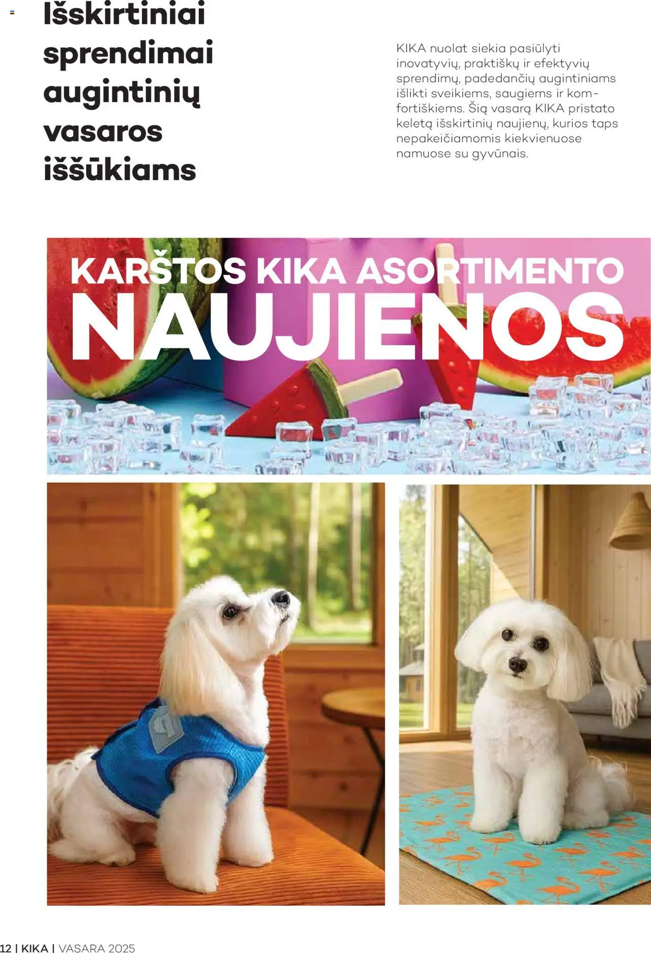KIKA - Žurnalas Vasara │galioja nuo 13.08.2025 | Puslapis: 14