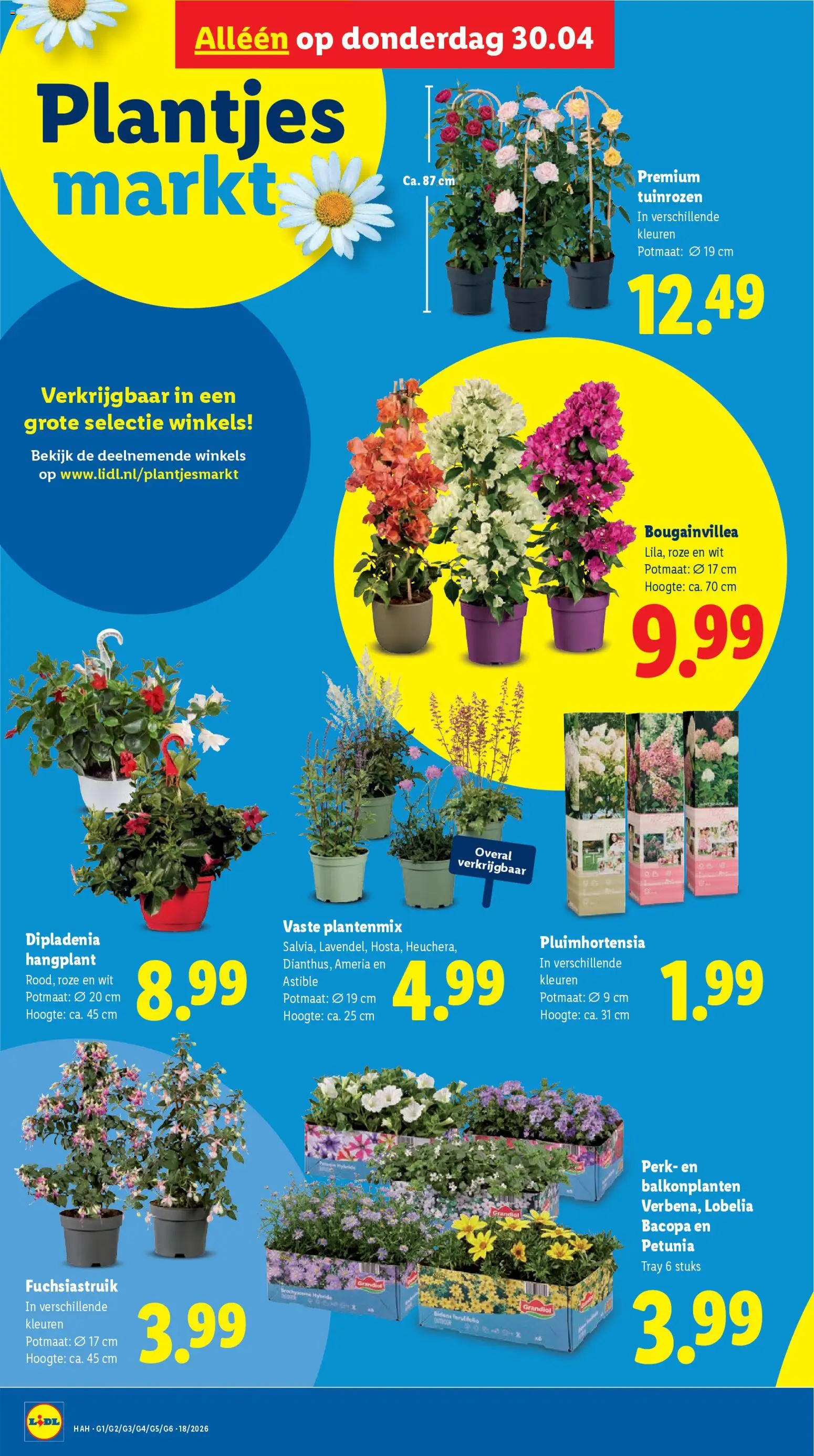 {H1} | Pagina: 28 | Producten: Overal