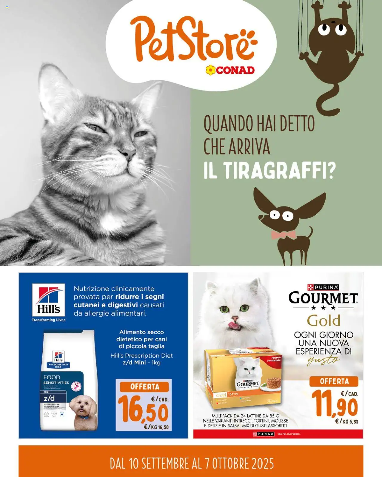 Volantino Conad del 10.09.2025 | Pagina: 1 | Prodotti: Salmone, Tiragraffi