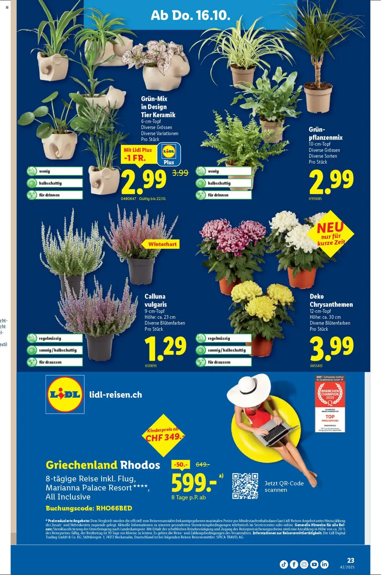 Lidl Aktionen – gültig ab 16.10.2025 | Seite: 23 | Produkte: Top