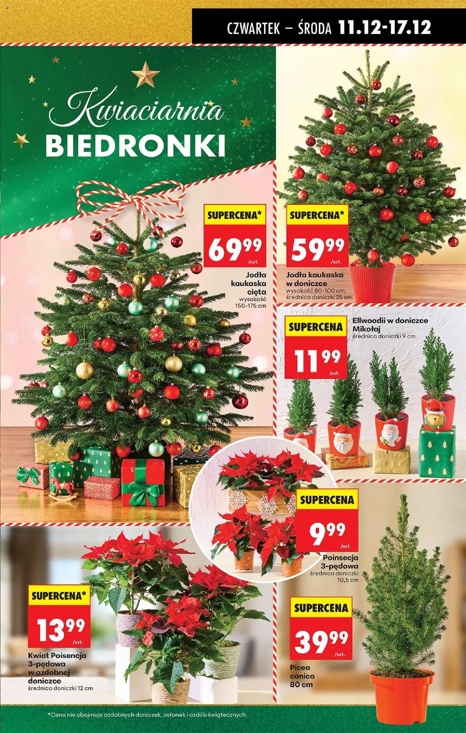 Biedronka gazetka - Oferta w tym tygodniu od 11.12.2025 | Strona: 23 | Produkty: Jodła kaukaska, Doniczki