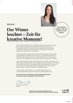 Pagro-Diskont  Ideenwerk ab 05.11.2025 gültig | Seite: 3