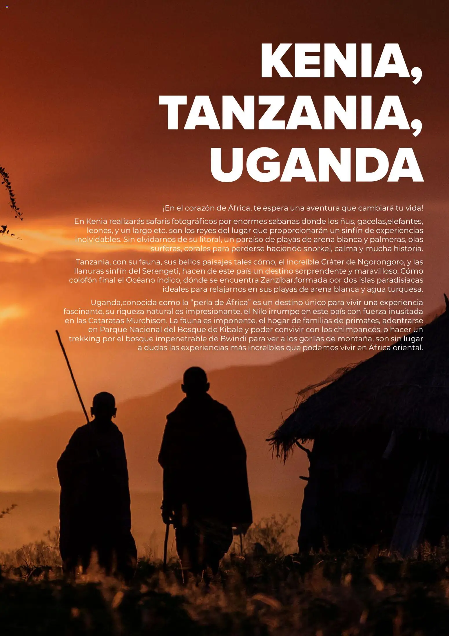 Viajes El Corte Inglés Africa y Oriente Medio │ válido desde el 01.01.2026 | Página: 29 | Productos: Té