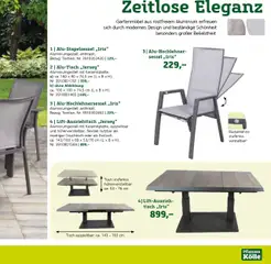Pflanzen-Kölle Gartenmöbel Katalog 2025 ab 22.01.2025 gültig | Seite: 17