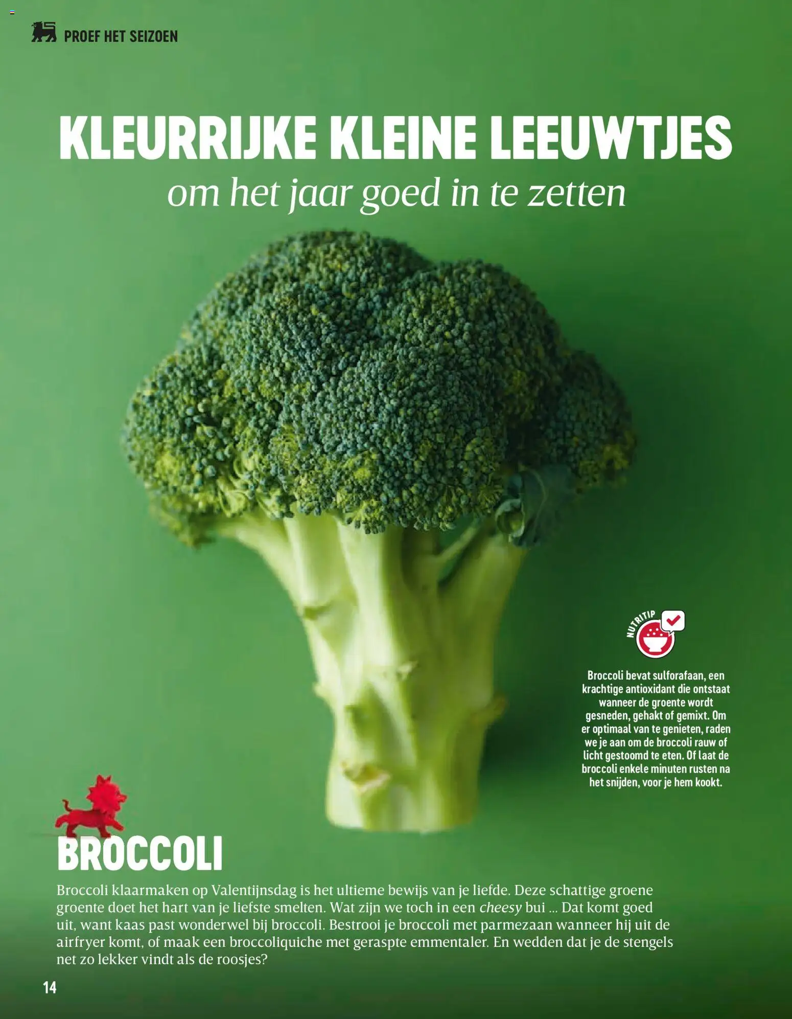 {H1} | Pagina: 14 | Producten: Gehakt, Parmezaan, Broccoli, Kaas