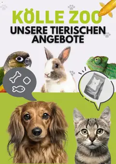 Kölle-Zoo Prospekt 	 gültig ab dem 07.08.2025