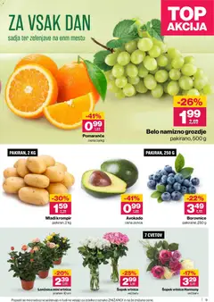 Mercator katalog akcije – veljaven od 09.04.2026 | Stran: 9