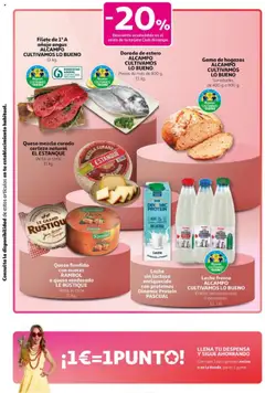 Alcampo - Club Nacional  │ válido desde el 25.09.2025 | Página: 11 | Productos: Γραβάτα, Leche, Filete, Hogazas