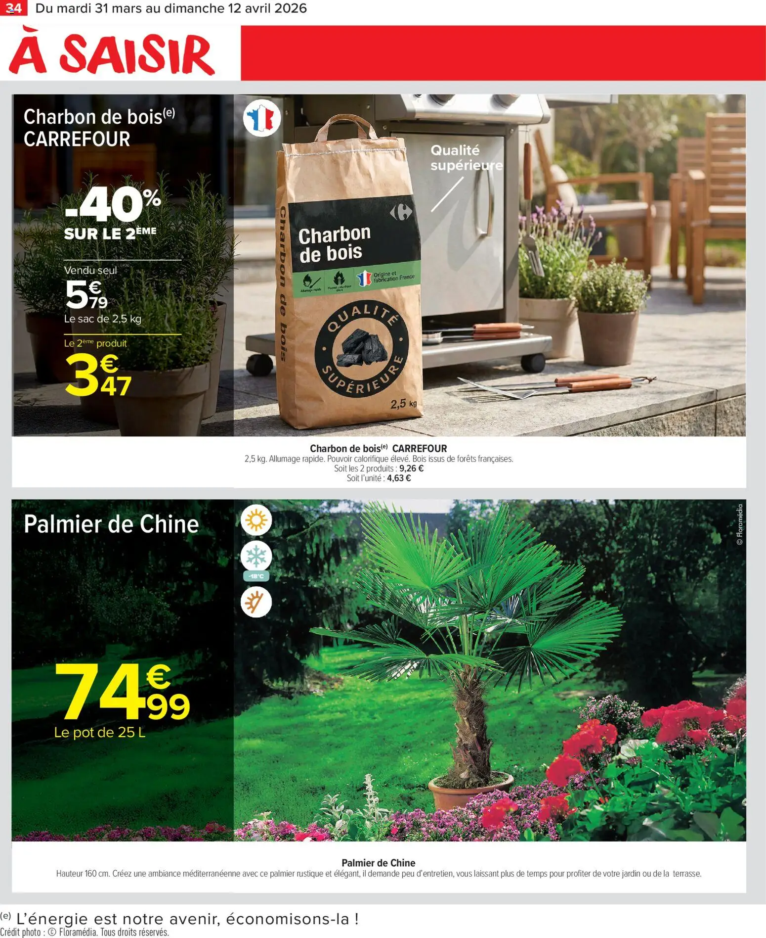 {H1} | Page: 36 | Produits: Charbon De Bois, Sac, Palmier