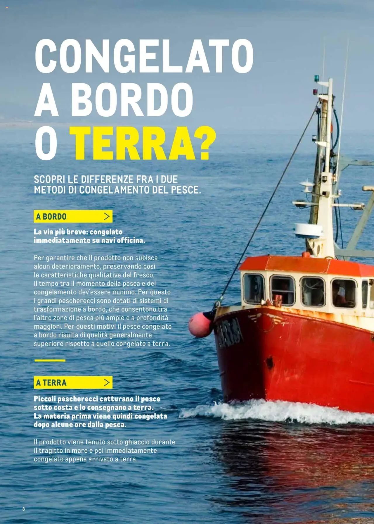 Volantino Metro del 30.06.2025 | Pagina: 8 | Prodotti: Pesce, Il pesce, Pesca, Terra