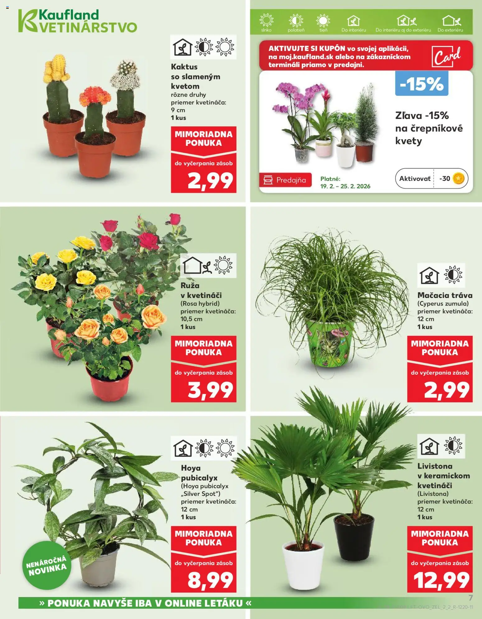 Nové Kaufland akcie – leták je platný od 19.02.2026 | Strana: 7 | Produkty: Kvety