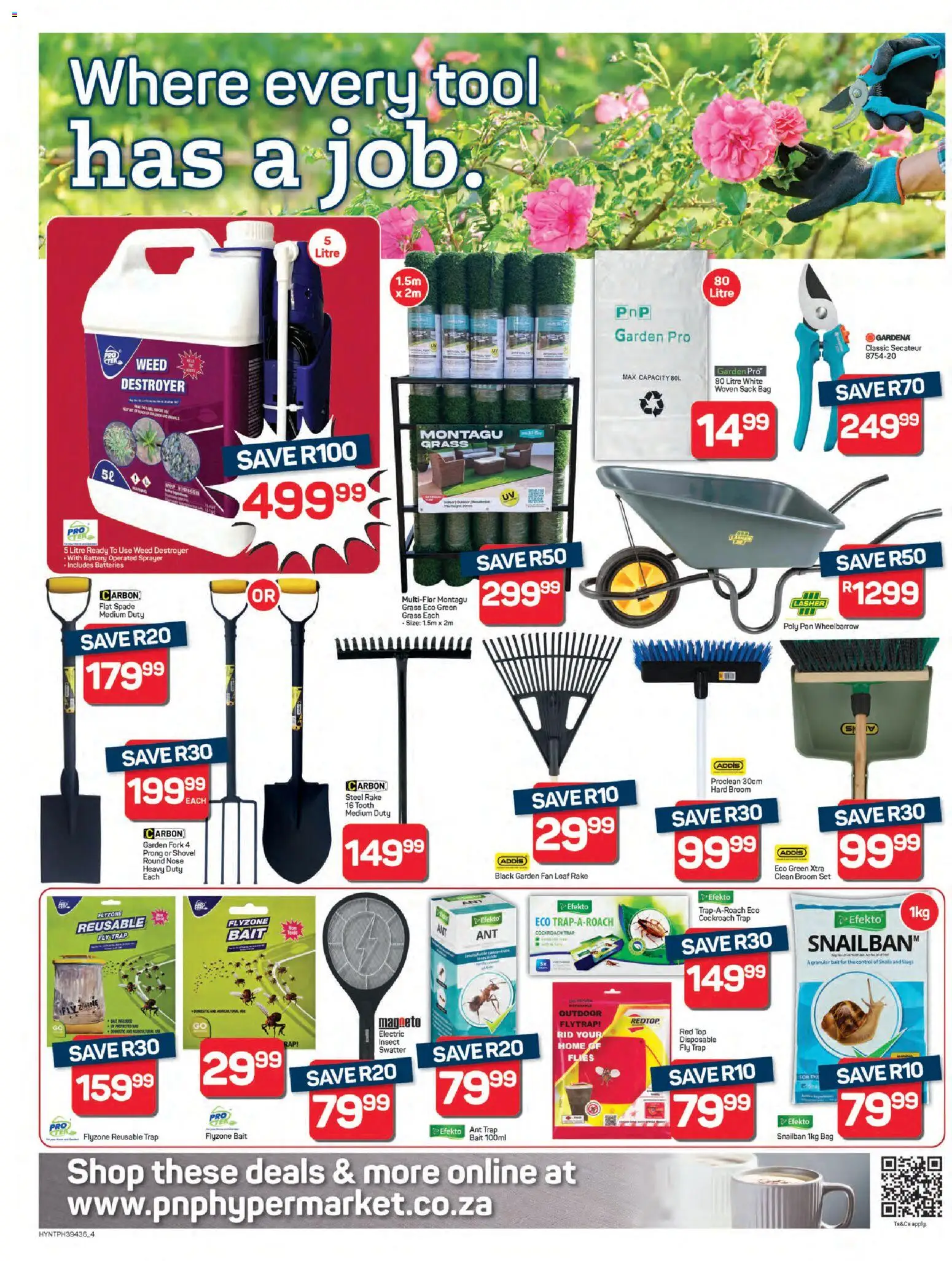 New Pick n Pay catalogue – valid from 22.01.2026 | Page: 4 | Products: Fan, Battery, Spade, Peach