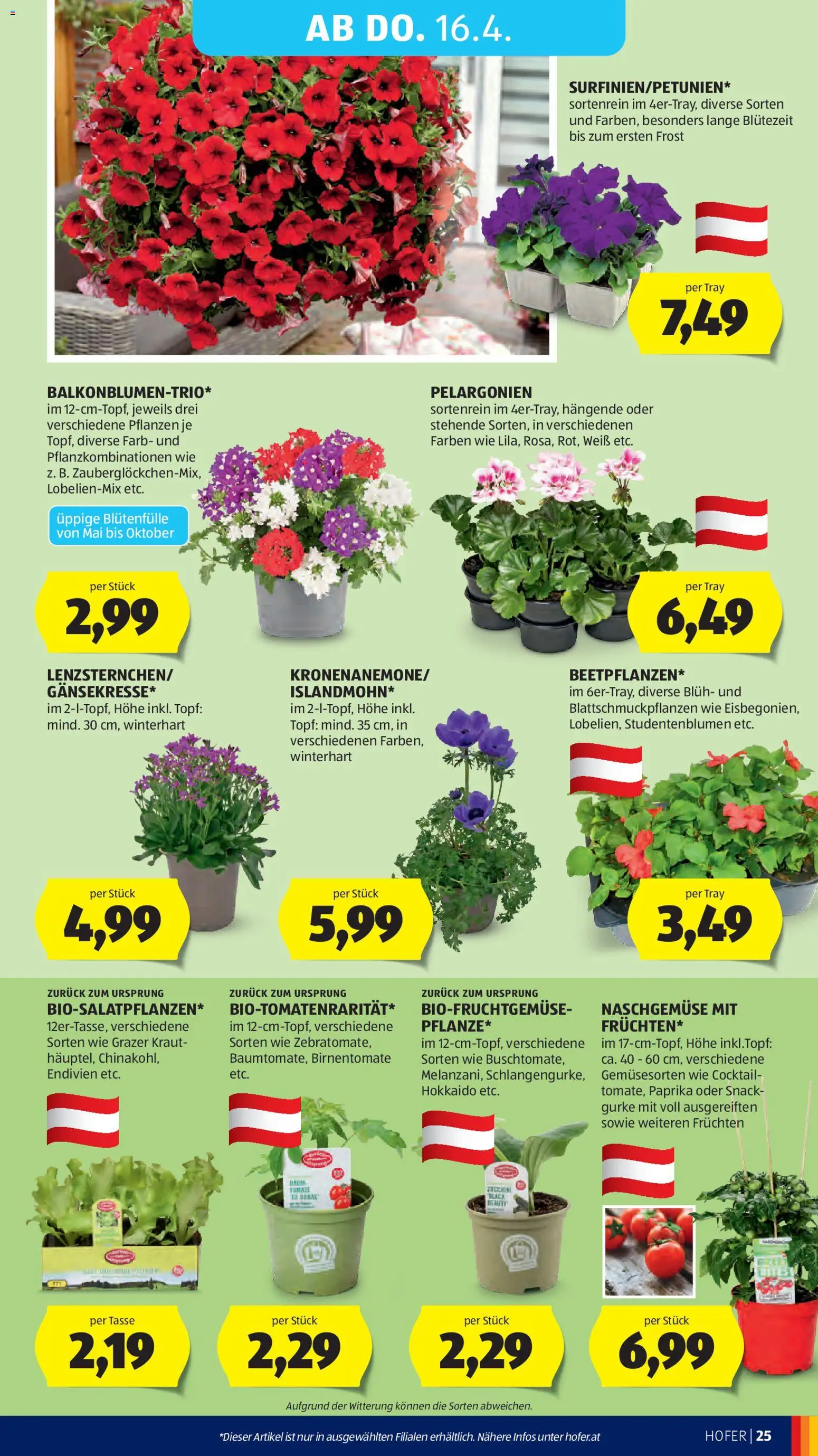 Hofer AT akciós ujság - amely érvényes a következő dátumtól: 10.04.2026 | Oldal: 29