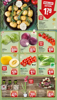 Honigmelone, Brasilien: Honigmelone Kl. I, je 1 kg ab 15.12.2025 gültig | Seite: 9