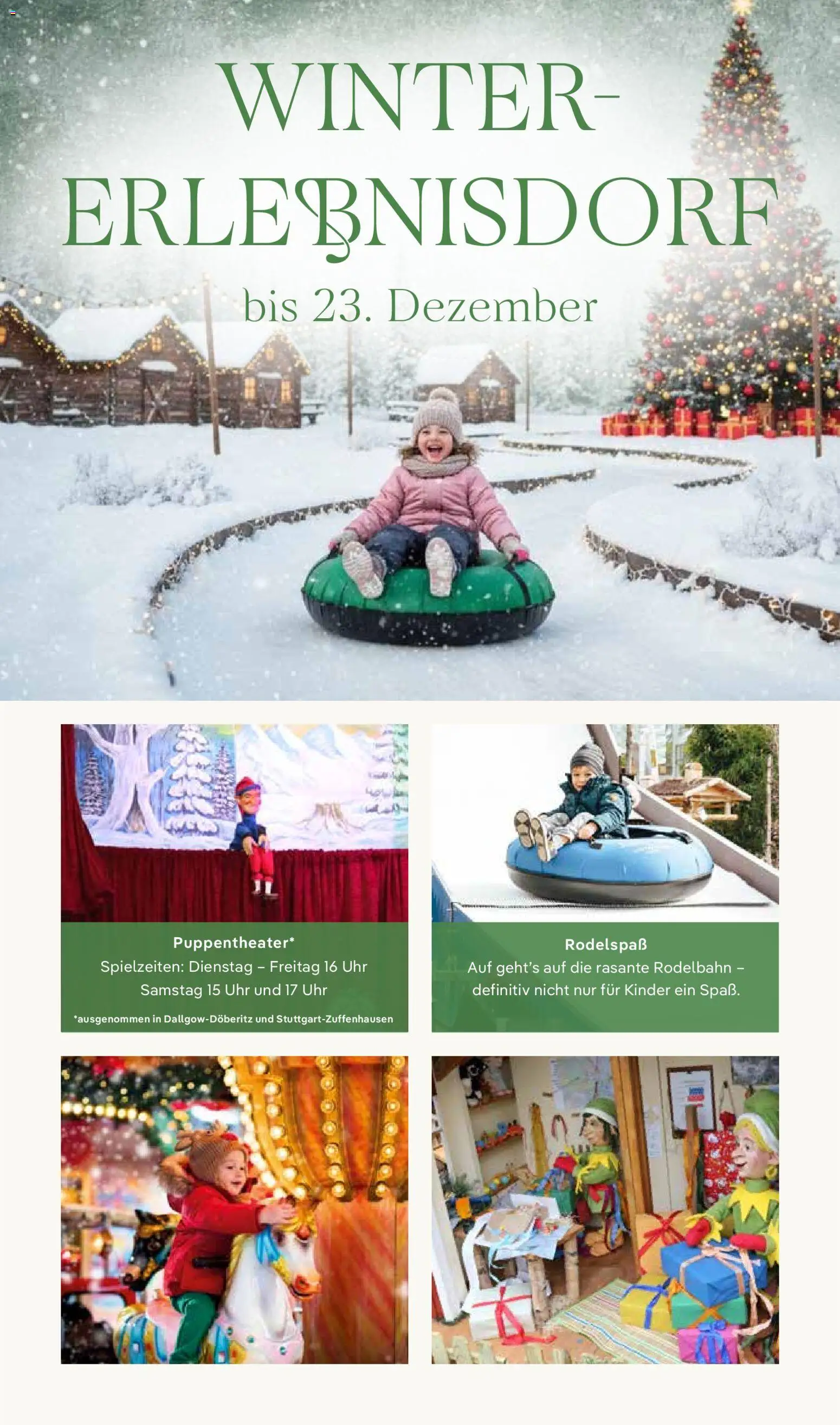 Pflanzen-Kölle Prospekt 	 – gültig ab 17.11.2025 | Seite: 10 | Produkte: Uhr