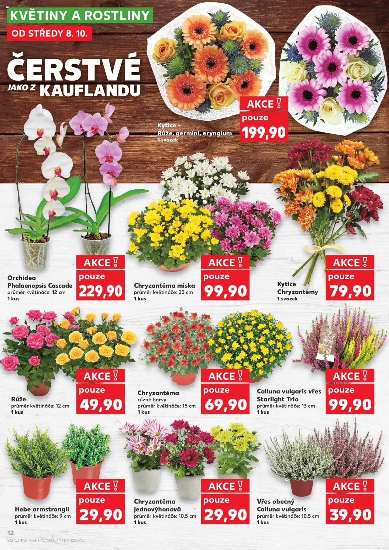 Kaufland leták od 08.10.2025 | Strana: 12 | Produkty: Vřes, Květináče, Rostliny, Kytice