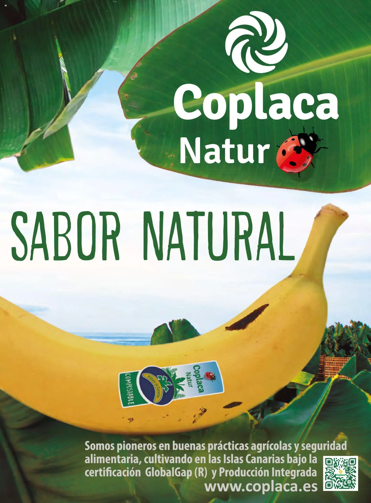 Costco catálogo │ válido desde el 19.03.2026 | Página: 119