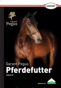 Lagerhaus  Pegus ab 10.09.2025 gültig