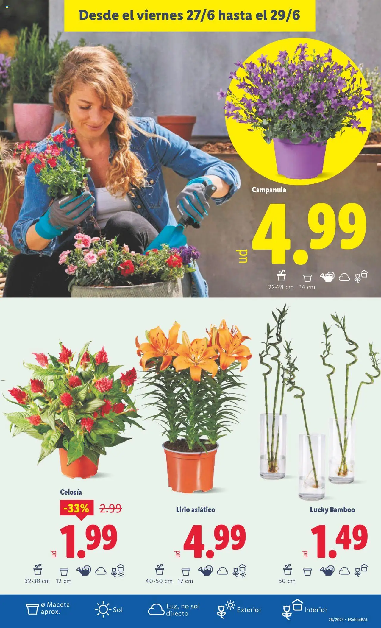 Lidl catálogo de bazar MAD │ válido desde el 23.06.2025 | Página: 19 | Productos: Maceta