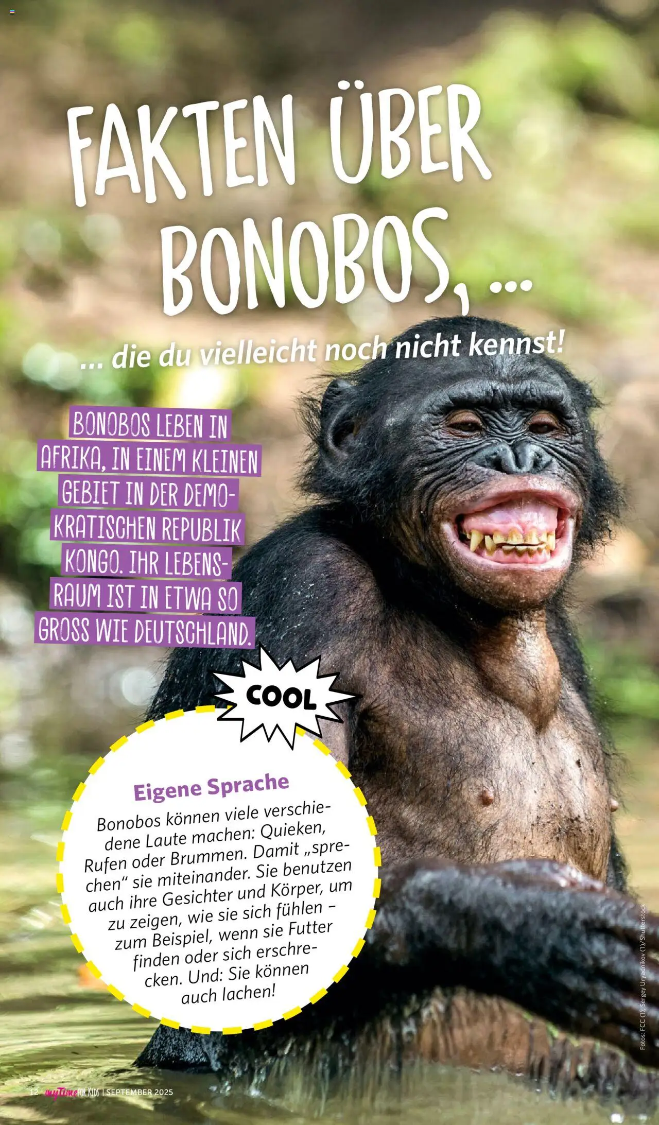 Famila Nordwest myTime September 2025 – gültig ab 01.09.2025 | Seite: 108