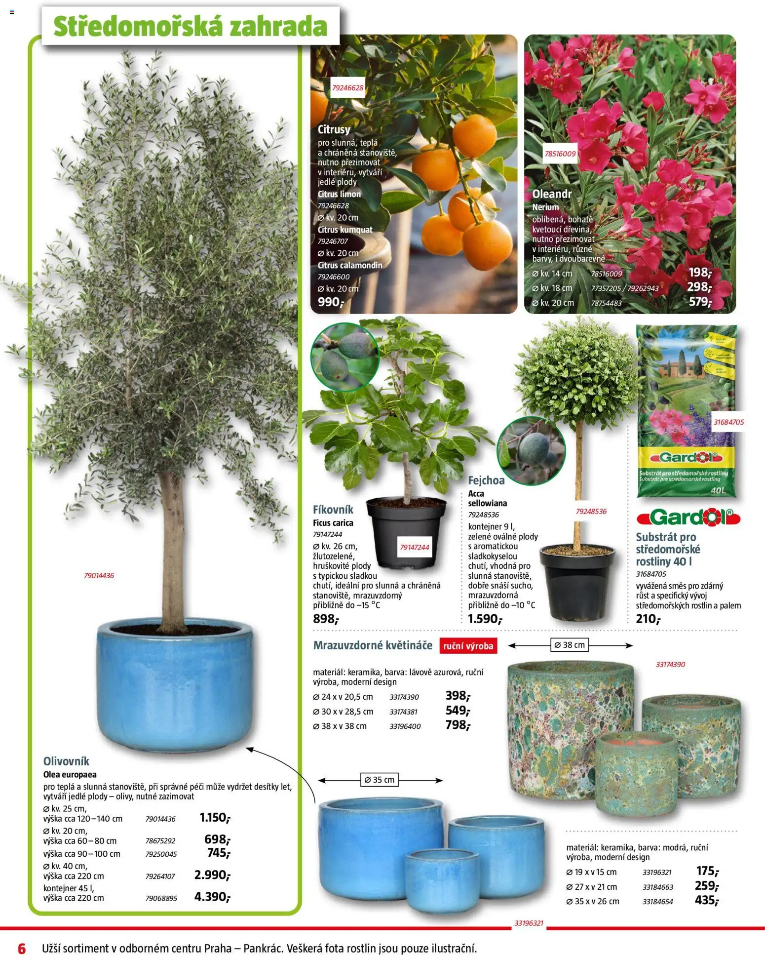 Bauhaus leták od 02.04.2026 | Strana: 6 | Produkty: Květináče, Zahrada, Rostliny, Kumquat