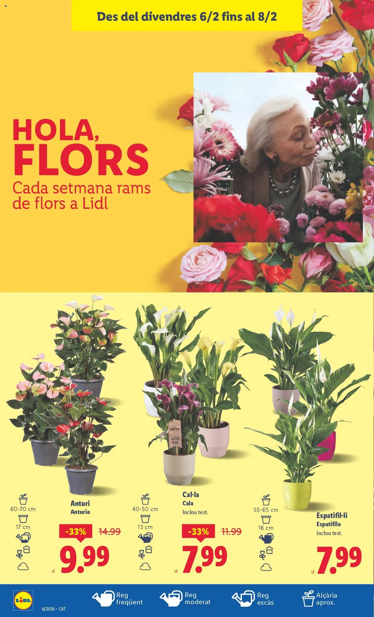 Lidl folleto │ válido desde el 02.02.2026 | Página: 36